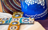 Plenary web